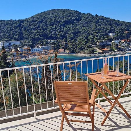 Studio Apartment Dubrovnik Eksteriør billede