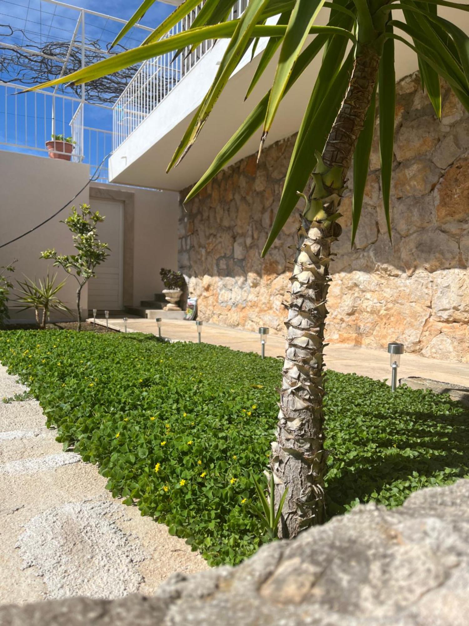 Studio Apartment Dubrovnik Eksteriør billede